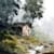 Sohan