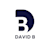 DAVID B