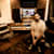 Estudio Retro