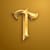 Traysson T