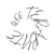 Kathe