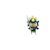 Adrish