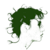 Nida