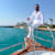 Ahmed E