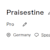 Praisestine