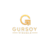 Gursoy Visuals