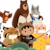 Salesforce Dev