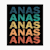 Anas Khan