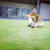 Ahmed B