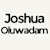 JOSHUA OLUWADAM