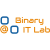 Binary It Lab