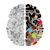 the_right_brain