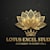 LOTUS EXCEL PRO