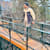 MANSOOR AFZAL