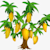 Mangos