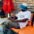 Neef Music