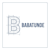 Babatunde B