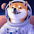 Maxwsne