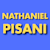 Pisani