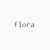 flora