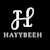 Hayy B