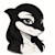 Orca Designz