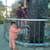 Hariom