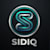 Sidiq T