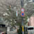 Mitaka