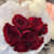 NoorSheikh