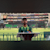 Aneel