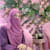 Khadiza K