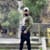 Haris M