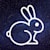 Luna Bun