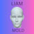Liam Mold