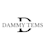 Dammy Tems