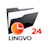 Denys Lingvo