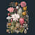 Poppasse