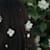 Khawla