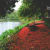 sharmin6351