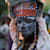 Kibiru