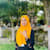 Hamida Akter