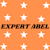 Expert A
