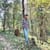Ritiksingh