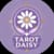 Daisy T