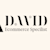 David Shopify