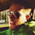 davidshaw801