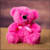 Abdulmaleek P