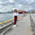Shamim G