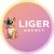 Liger Agency Ux
